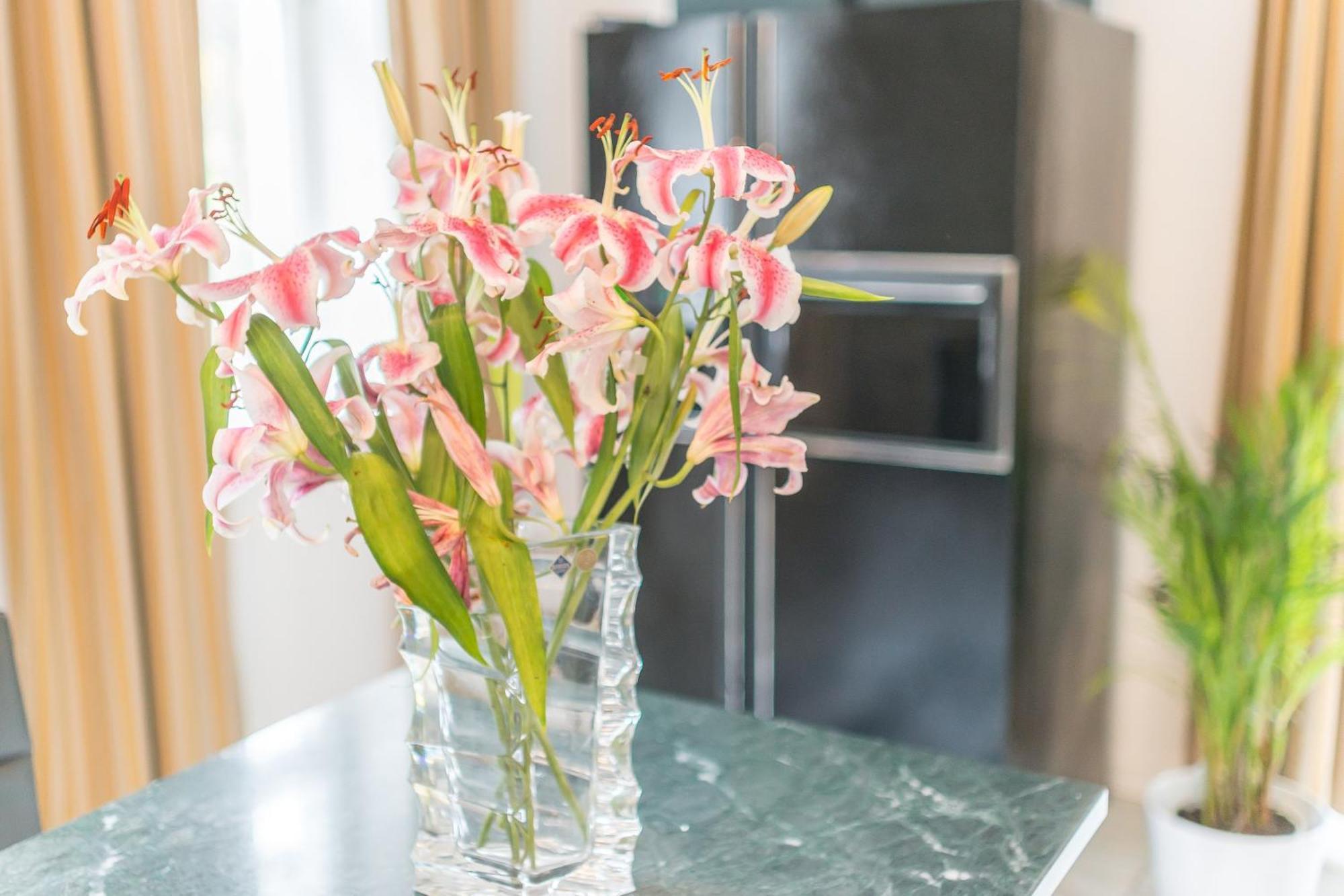 Charming Apartment With Terrace In Bad Schandau 55 Sqm Parking מראה חיצוני תמונה